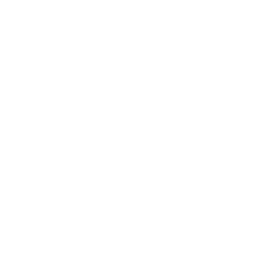 Pav